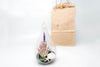 Gift Wrapped Terrarium Kits with Tillandsia Air Plants