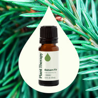 Balsam Fir Essential Oil By Plant Therapy 