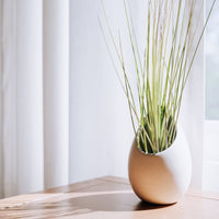 Large Ivory Ceramic Hanging Planter With Flat Bottom