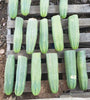 #EC06 Exact Trichocereus Pachanoi Jiimz Juul Cactus CUTTINGS and Potted 6-24"