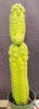 #EC127 EXACT Trichocereus Pachanoi "Monstrose" Cactus Plant 22"