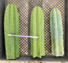 #EC13 EXACT Trichocereus Pachanoi #46 Potted Cactus & Cuttings