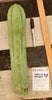 #EC153 EXACT Trichocereus Bridgesii Jiimz Twin Spine Cactus Plant Cuttings