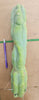 #EC153 EXACT Trichocereus Bridgesii Jiimz Twin Spine Cactus Plant Cuttings