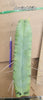 #EC153 EXACT Trichocereus Bridgesii Jiimz Twin Spine Cactus Plant Cuttings