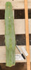 #EC153 EXACT Trichocereus Bridgesii Jiimz Twin Spine Cactus Plant Cuttings