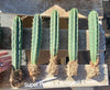 #EC185 EXACT Trichocereus BARGAIN SPECIAL Cactus Plant Bare Root or Potted Specimens