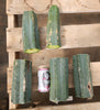 #EC200 EXACT Trichocereus Pachanoi BGH Cactus Plant Cutting