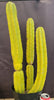 #EC25 EXACT Trichocereus Pachanoi "PC" Cactus 23, 20, 17"