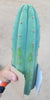 #EC36 EXACT Trichocereus Pachanoi Peruvianus NO ID Cactus Plant Cuttings