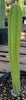 #EC64 EXACT Yungasocereus inquisivensis  Cactus 13-15” Plant