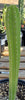 #EC64 EXACT Yungasocereus inquisivensis  Cactus 13-15” Plant