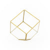 Heptahedron Geometric Glass Terrarium - Gold Metallic Finish - Trendy Holder For Tillandsia Air Plants