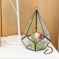 DIY Glass Diamond Terrarium