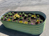 17" Tall 12-in-1 Raised Garden Bed in Sage Green