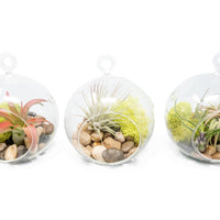 Set of 3 Stunning Hanging Glass Terrariums with Flat Bottoms