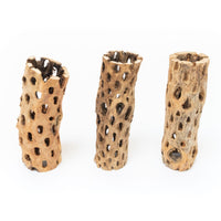 Natural Cholla Wood Container - 6 Inches Tall