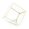 Heptahedron Geometric Glass Terrarium - Gold Metallic Finish - Trendy Holder For Tillandsia Air Plants