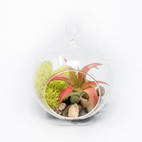 Set of 3 Stunning Hanging Glass Terrariums with Flat Bottoms