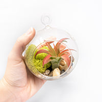 Set of 3 Stunning Hanging Glass Terrariums with Flat Bottoms