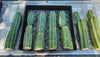 Trichocereus Pachanoi Common San Pedro PC Ornamental Grafting Cactus Cuttings and Potted