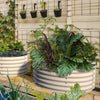 Olle Gardens 17" Tall Decorative Semi-circle Raised Garden Bed